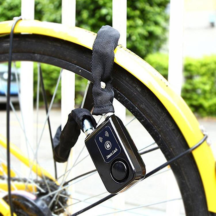 Smart Chain Lock