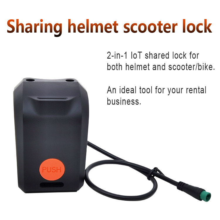 helmet cable lock